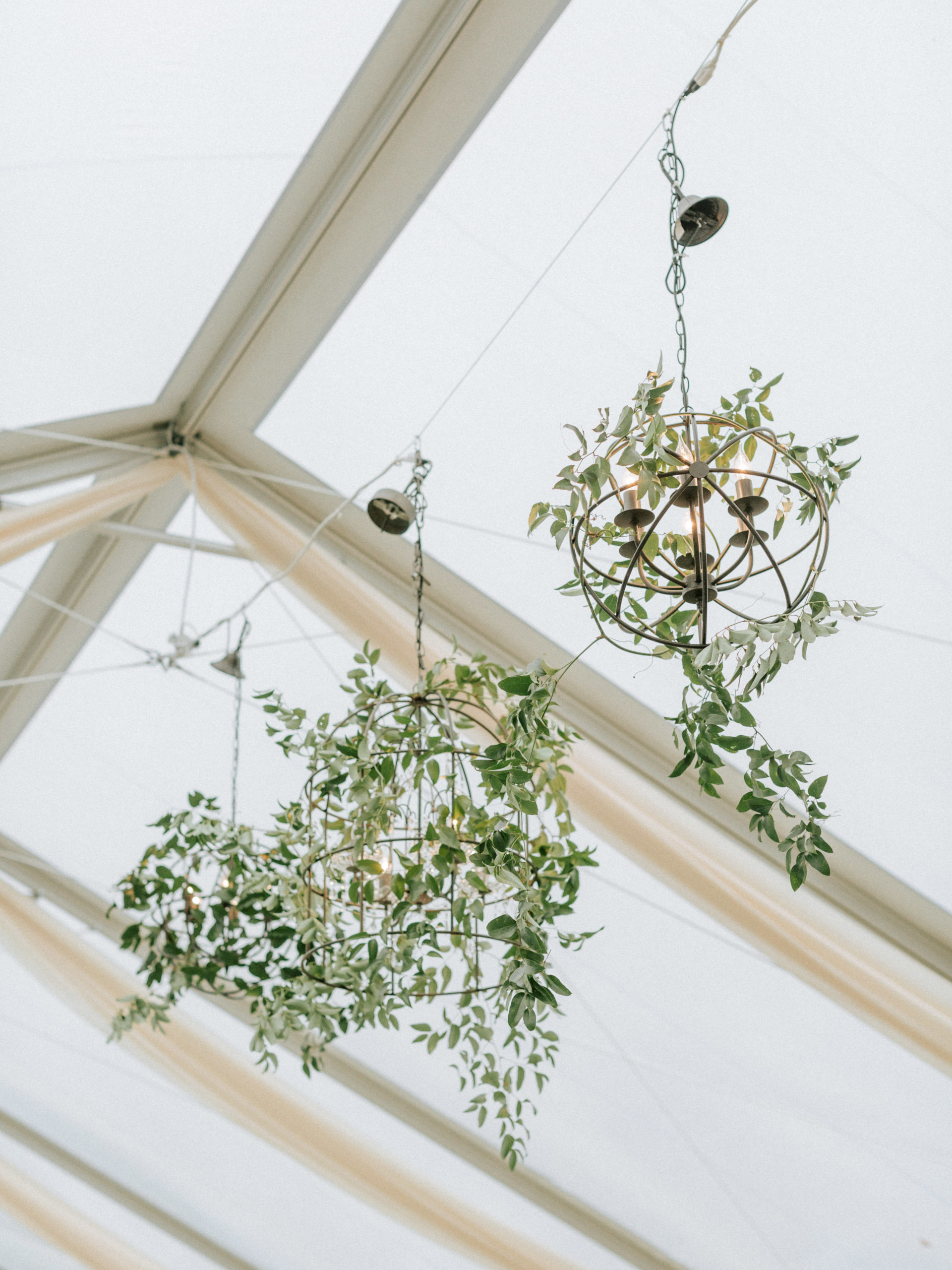 greenery lights in a clear top tent