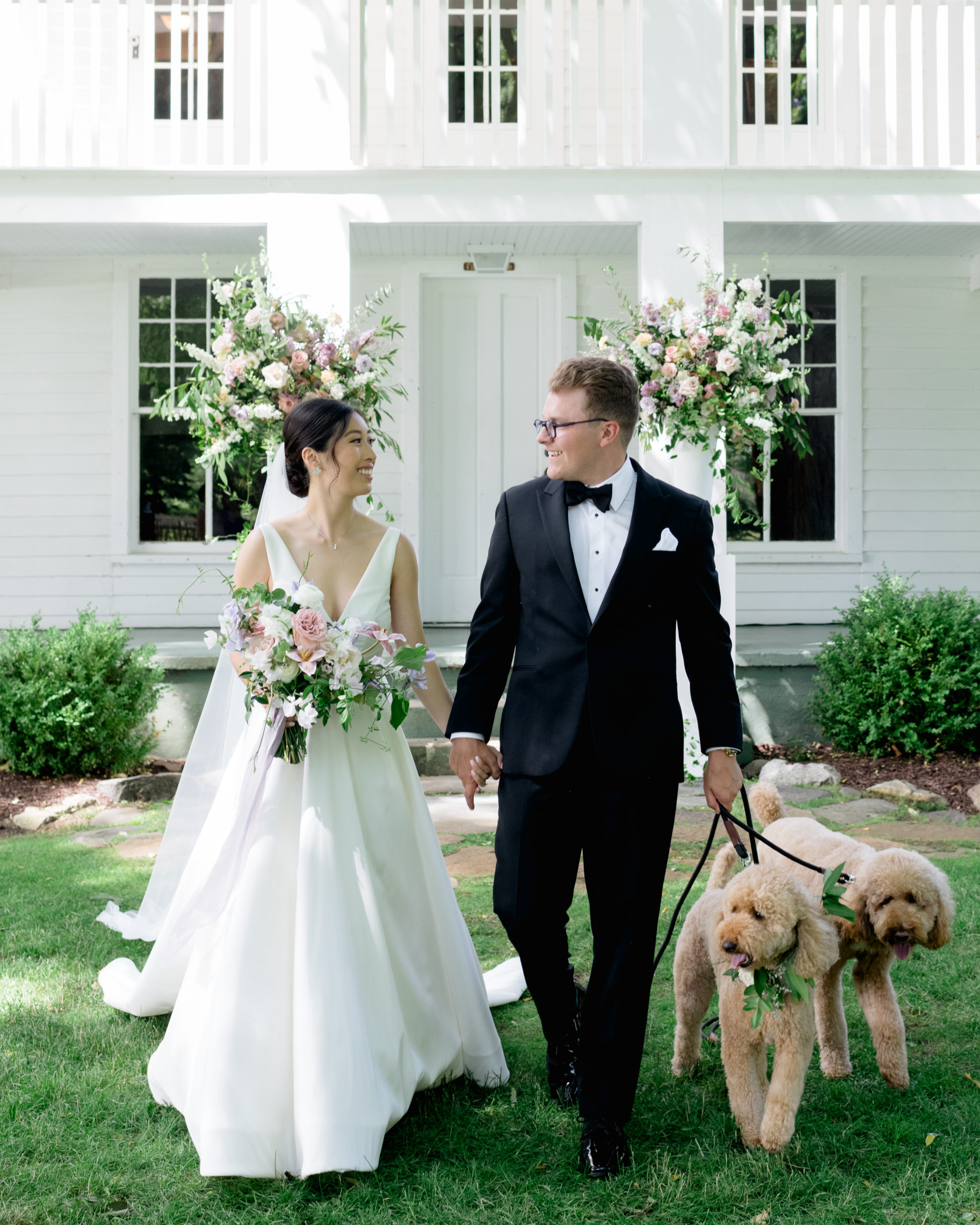 Wedding Ceremony with Dogs 